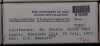 Image Associated With the Occurence